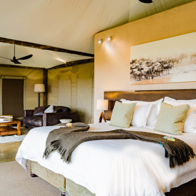 Ndaka Safari Lodge - tent accommodation