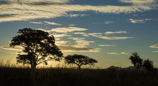 Ndaka safari lodge - Nambiti big 5 private game reserve