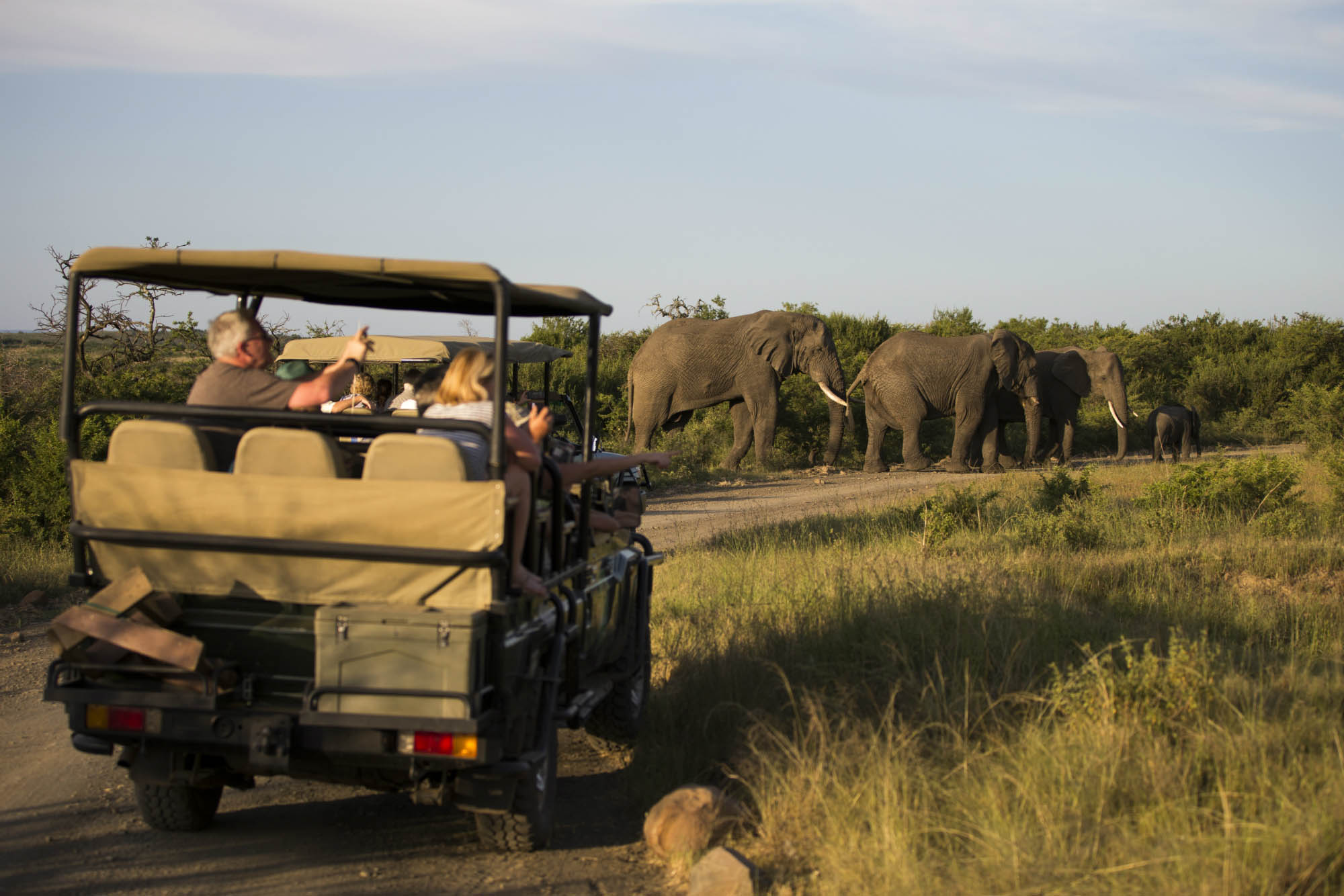Ndaka safari lodge - elephant Nambiti Big 5 private game reserve