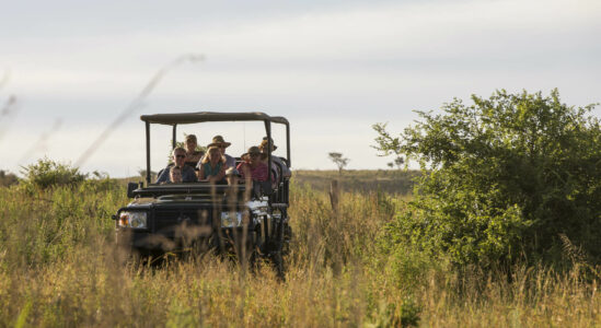 Ndaka safari lodge - game drive Nambiti
